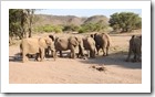 Twyfelfontein - Elefanten scheinen um ihren verstorbenen Guppenkollegen zu trauern